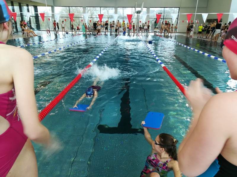 2019 03 14 Bezirksfinale Schwimmen Bild 3 web