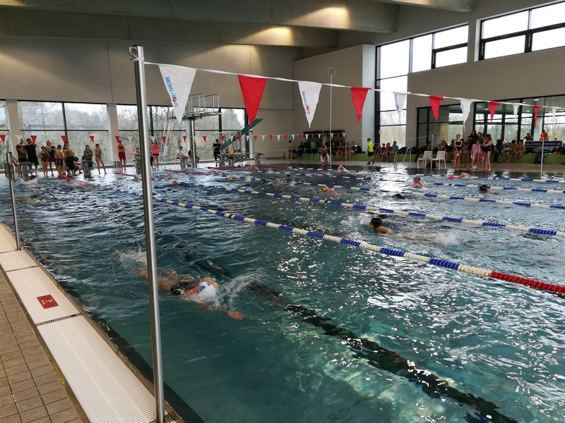 2019 03 14 Bezirksfinale Schwimmen Bild 4 web