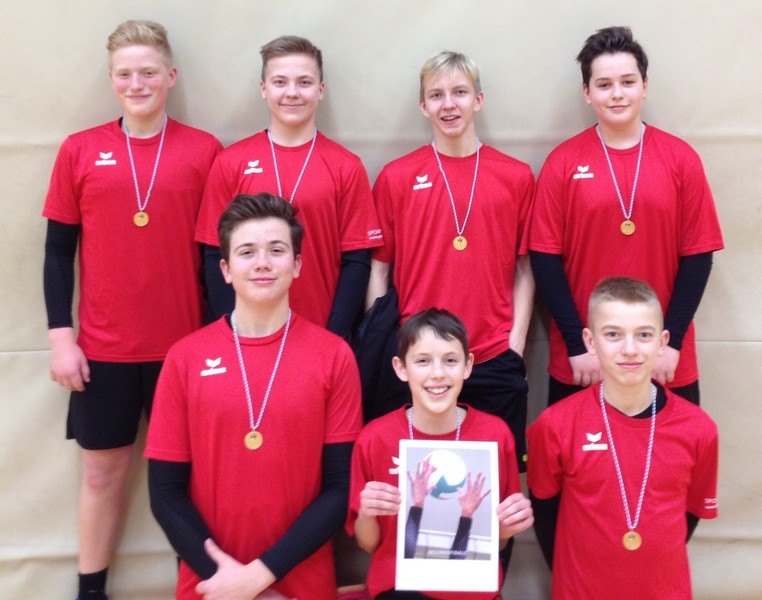 2019 01 31 Steller Volleys männlich III Bezirksfinale Bild 2 web