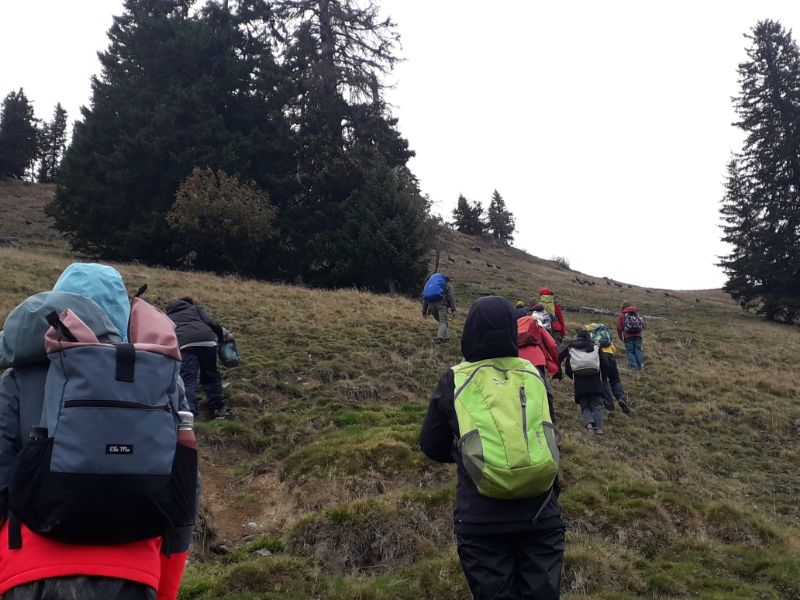 Bergtour auf die Haaralmschneid