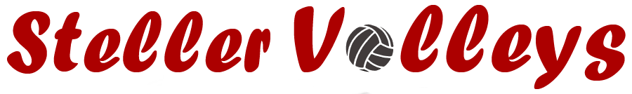 Steller Volleys Logo Schriftzug