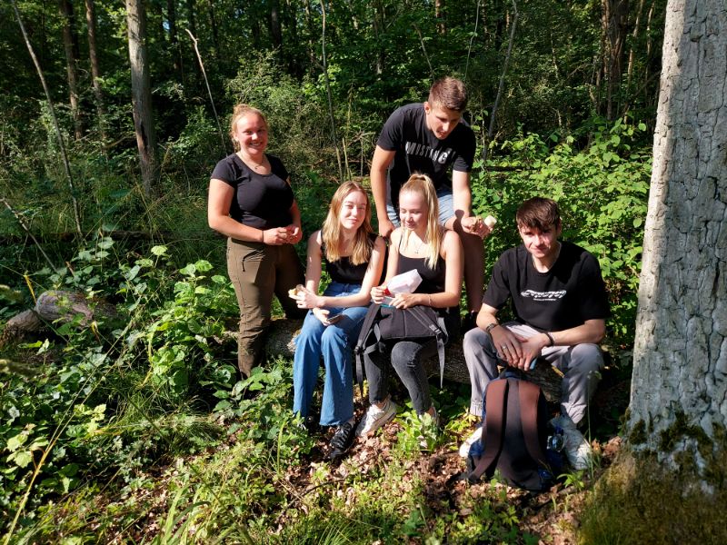 Kurze Rast im Wald 3 1